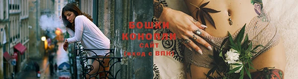 дживик Липки