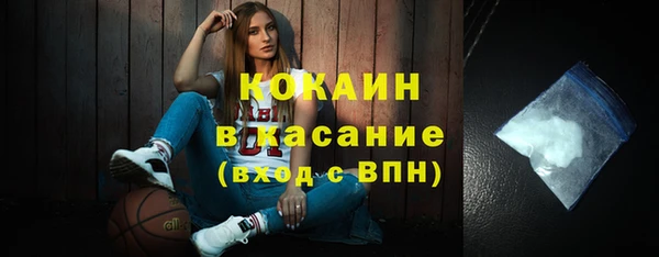 дживик Липки