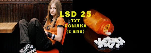 дживик Липки