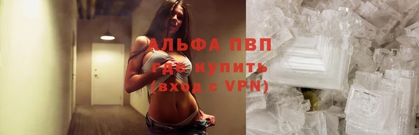 PSILOCYBIN Лихославль