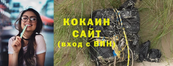 дживик Липки