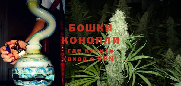 PSILOCYBIN Лихославль
