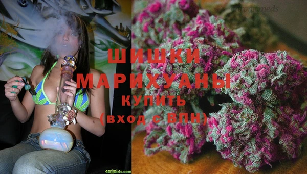 гидра Лиски