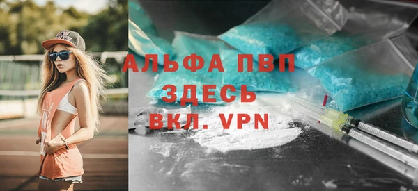 PSILOCYBIN Лихославль