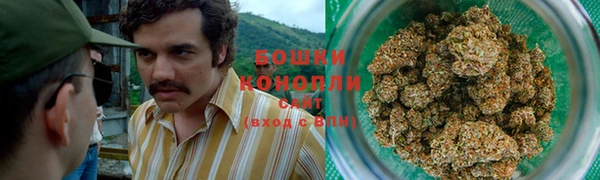 бошки Покачи