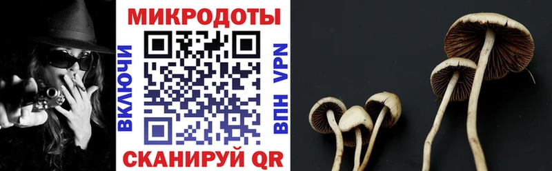 Галлюциногенные грибы мухоморы  где найти   мега онион  Новая Ляля 