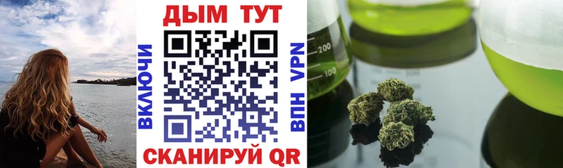 Каннабис план  наркота  Новая Ляля 